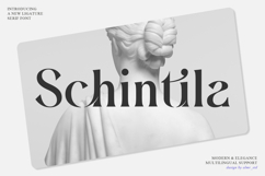 Schintila Product Image 1