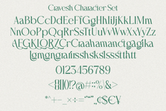 Cravesh Product Image 6