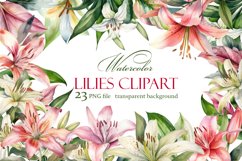 lilies clipart, Watercolor floral clipart , Bouquets Product Image 1