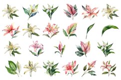 lilies clipart, Watercolor floral clipart , Bouquets Product Image 2