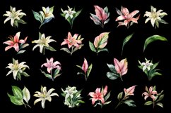 lilies clipart, Watercolor floral clipart , Bouquets Product Image 3