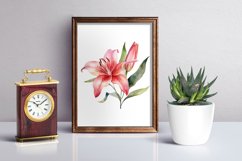lilies clipart, Watercolor floral clipart , Bouquets Product Image 4
