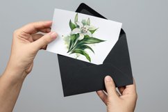lilies clipart, Watercolor floral clipart , Bouquets Product Image 5