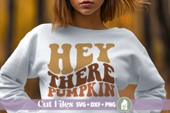 Hey There Pumpkin SVG, Retro Fall Shirt Design Product Image 1