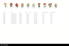 Lily Vintage Floral Botanical Clip Art Product Image 3