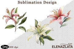 lilies clipart, Watercolor floral clipart , lily Bouquets Product Image 1