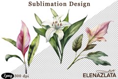 lilies clipart, Watercolor floral clipart , lily Bouquets Product Image 1
