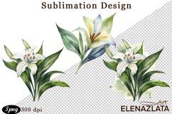 lilies clipart, Watercolor floral clipart , lily Bouquets Product Image 1