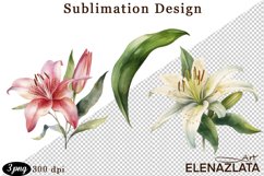 lilies clipart, Watercolor floral clipart , lily Bouquets Product Image 1