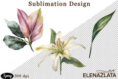 lilies clipart, Watercolor floral clipart , lily Bouquets Product Image 1