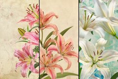 Lily Flower Digital Paper Bundle Product Image 3