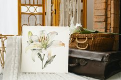 Lily Flowers clipart Product Image 5