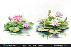 Watercolor Lily Ponds Illustration Clipart Product Image 1