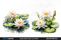 Watercolor Lily Ponds Illustration Clipart Product Image 1