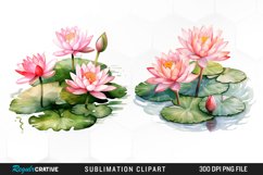 Watercolor Lily Ponds Illustration Clipart Product Image 1