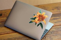 Lily Sticker Clipart Bundle Product Image 3