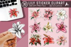 Lily Sticker Clipart Bundle Product Image 1