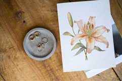 Lily Flowers clipart Product Image 3