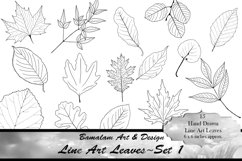 Hand Drawn Line Art Leaves - Set 1 Product Image 1