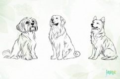 Line Drawing SVG Sublimation Product Image 7