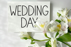 Line Extension Product Image 2