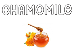 Lines Script Product Image 5