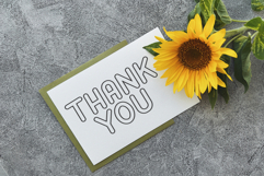 Lines Script Product Image 8