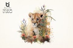 Watercolor Floral Baby Lion Sublimation Bundle Product Image 4