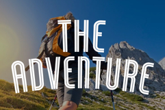 Lionking Product Image 3