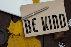 Lionking Product Image 5