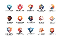 15 Unique Vector Lion Head Product Image 1