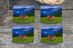Lions In The Valley - 4&quot; Coaster Sublimation - PNG Design - Product Image 1