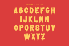 Liqudox Dripping Sans Display Font Product Image 8