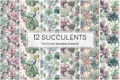 12 Succulent Seamless Patterns / Backgrounds 12x12 Inches Product Image 1