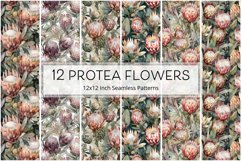 12 Exotic Protea Flowers Seamless Patterns / Backgrounds 12" Product Image 1