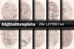 LETTER / A4 Pages | Single and Double | Watercolor Stills Product Image 6