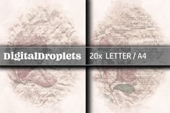 LETTER / A4 Pages | Single and Double | Watercolor Stills Product Image 11