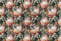 12 Exotic Protea Flowers Seamless Patterns / Backgrounds 12" Product Image 2