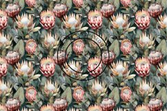 12 Exotic Protea Flowers Seamless Patterns / Backgrounds 12" Product Image 5