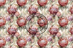 12 Exotic Protea Flowers Seamless Patterns / Backgrounds 12" Product Image 8