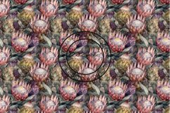 12 Exotic Protea Flowers Seamless Patterns / Backgrounds 12" Product Image 9