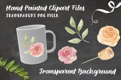 Watercolor Loose Roses Clipart Floral Hand Painted Flowers Product Image 2