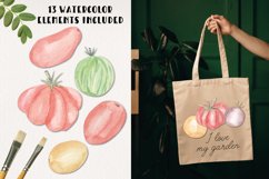 Tomato Watercolor Menu Designs Elements Painted Food Fun Product Image 2