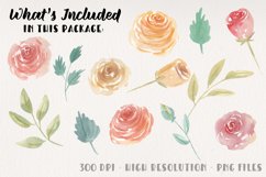 Watercolor Loose Roses Clipart Floral Hand Painted Flowers Product Image 3