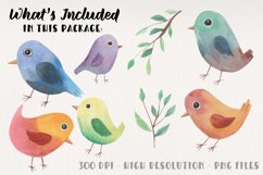Pretty Cute Birds Watercolors Painted Spring Colourful Bird Product Image 3