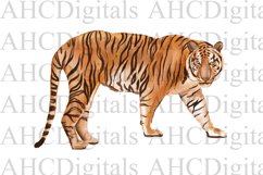 Cute Tiger Sublimation Image, Watercolor Tiger Painting Product Image 1