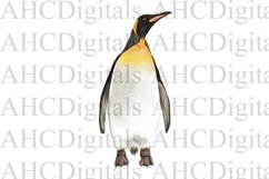 Cute Penguin Sublimation Image, Watercolor Penguin Picture Product Image 1