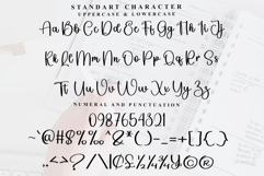 Little Baby Product Image 5