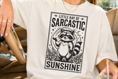 Little Ray of Sarcastic Sunshine SVG Product Image 3