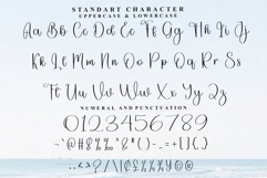 Little Things Product Image 4